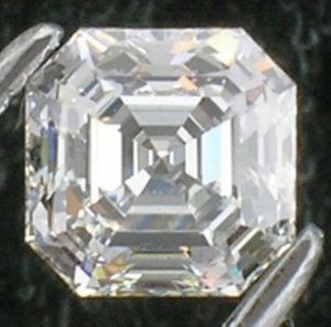 DSCN3106ss.jpg