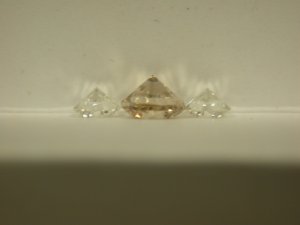 DSCN4741.jpg
