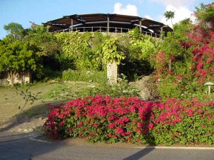 caneelbayequatorrestaurant.jpg
