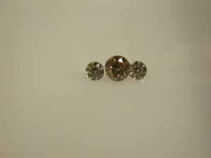 DSCN4738.jpg