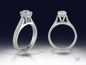 plat.cath.pave.ering.jpg