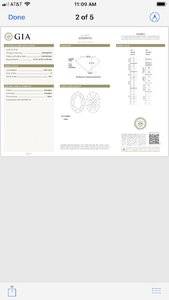 IMG_3030 (1).jpeg