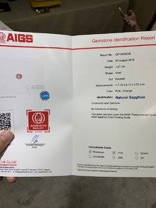 mmexport1569389469364.jpg