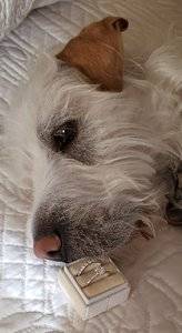 20190927_172358.jpg