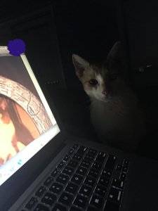 oliveroncomputer.jpg