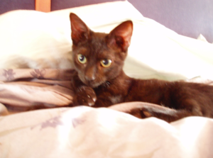 frankieasbabyinbed.png