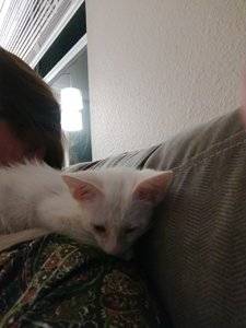 IMG_20190915_195830174.jpg