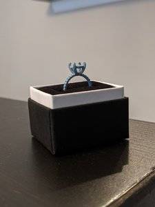 3d-ring-1.jpg