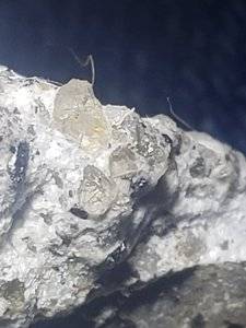 20190929_184431.jpg
