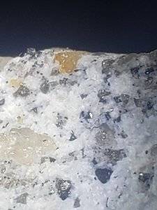 20190929_184009.jpg