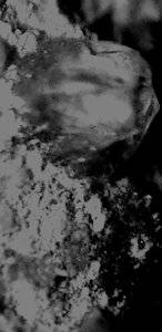 CM190928-163303007.jpg