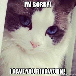 imsorryigaveyouringworm.jpg