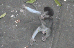 91BCC9A5-87B8-486D-8F53-129A35E04DC2.gif