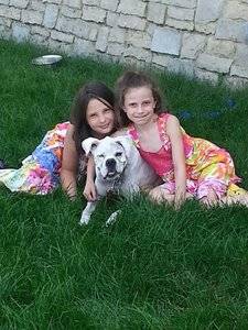sweetdearHarleysummer2015.jpg