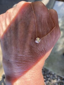 IMG_4243.jpeg