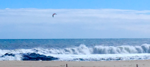 beachwavesoctoberday2019.png beachwavesoctoberday2019.png