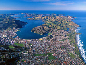 Dunedin-1.jpg