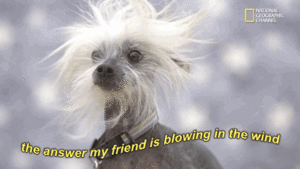 blowinginthewind.gif