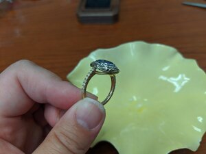 IMG_20191011_095525.jpg