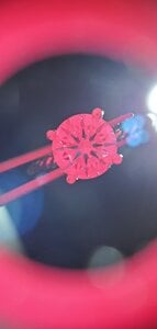 20191008_083755.jpg