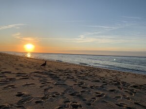 3A626028-E8A9-47E9-849C-9E2804EA5009.jpeg