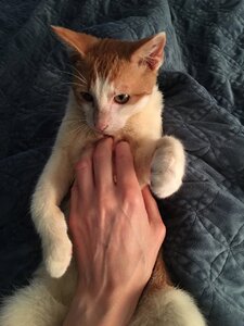 oliverinbedwithme.JPG