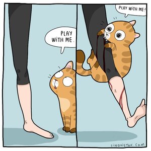 cat-comics-lingvistov-9.jpg