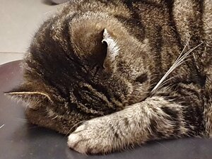 20191018_230149.jpg