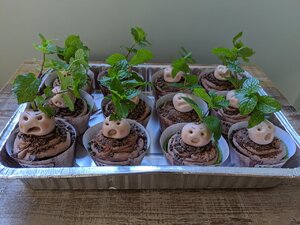 IMG_20191019_093744.jpg
