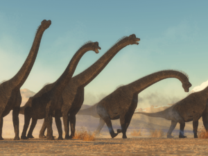 b157aa-20180412-brachiosaurus.png