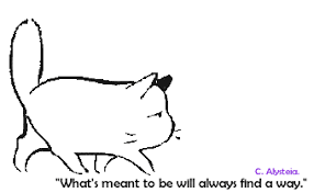 meanttobe.png
