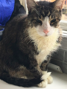 bobbyafterbath.png