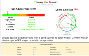 7879344 HCA score.PNG
