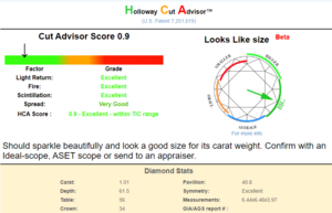 7332218 HCA score.PNG