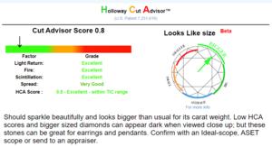 7718502 HCA score.PNG