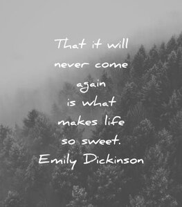 death-quotes-that-it-will-never-come-again-is-what-makes-life-so-sweet-emily-dickinson-wisdom-...jpg