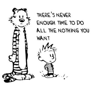 calvinandhobbesneverenoughtime.jpg
