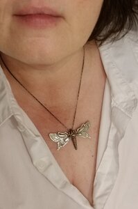 20191030_171819.jpg