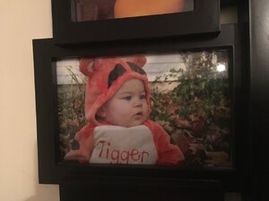 IMG_6804.JPG
