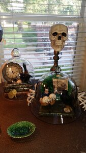 20160922_172052.jpg
