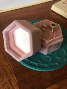 IMG_4115.jpeg