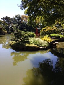 D7157F96-6C64-4109-8AF9-3B220832244A.jpeg