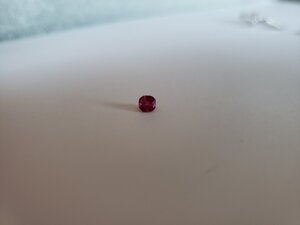 20191101_165343.jpg