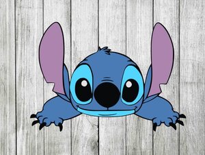 Stitch.jpg