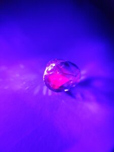 20191106_103744.jpg