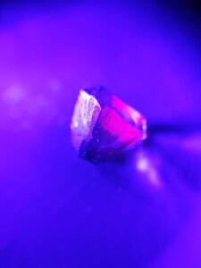 20191106_103638.jpg