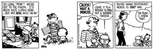adventurecalvinandhobbes.jpg