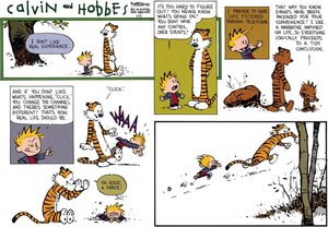 calvinandhobbeslifechangingevent.jpg