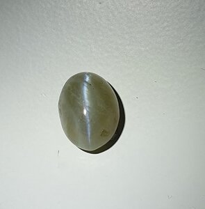 20191107_162450.jpg