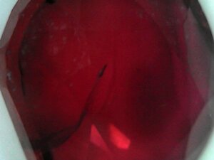 20191109_1613_005_0.000.jpg